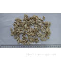 Dried Cushaw seed husk,Squash seed shell,Pumpkin seeds case,Semen cucurbitae,semina,Forage,Fodder,Feed,Feedingstuff,Feedstuff